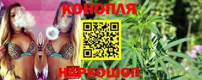 стаф Кимры