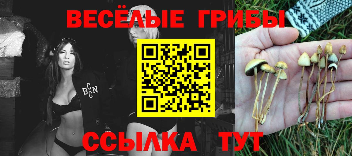 Псилоцибиновые грибы GOLDEN TEACHER Ипатово